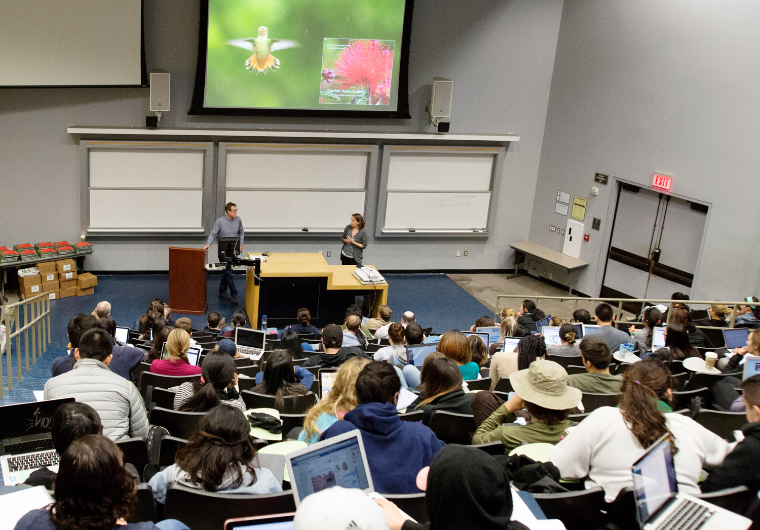 UCLA Lecture : Gottlieb Native Garden UCLA Lecture: Gottlieb Native Garden, Wednesday January 25, 2017