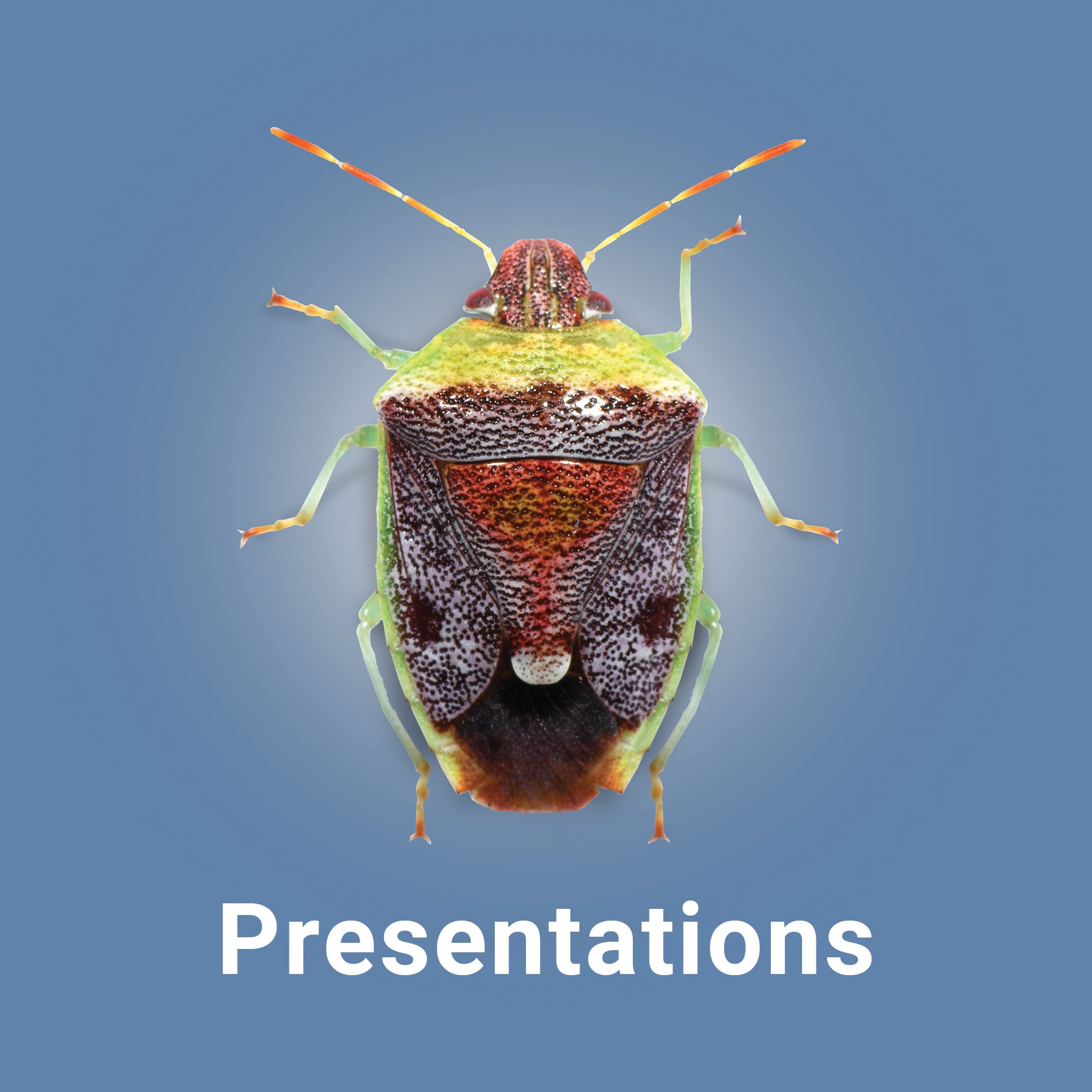 Bug_Button_Presentations_05