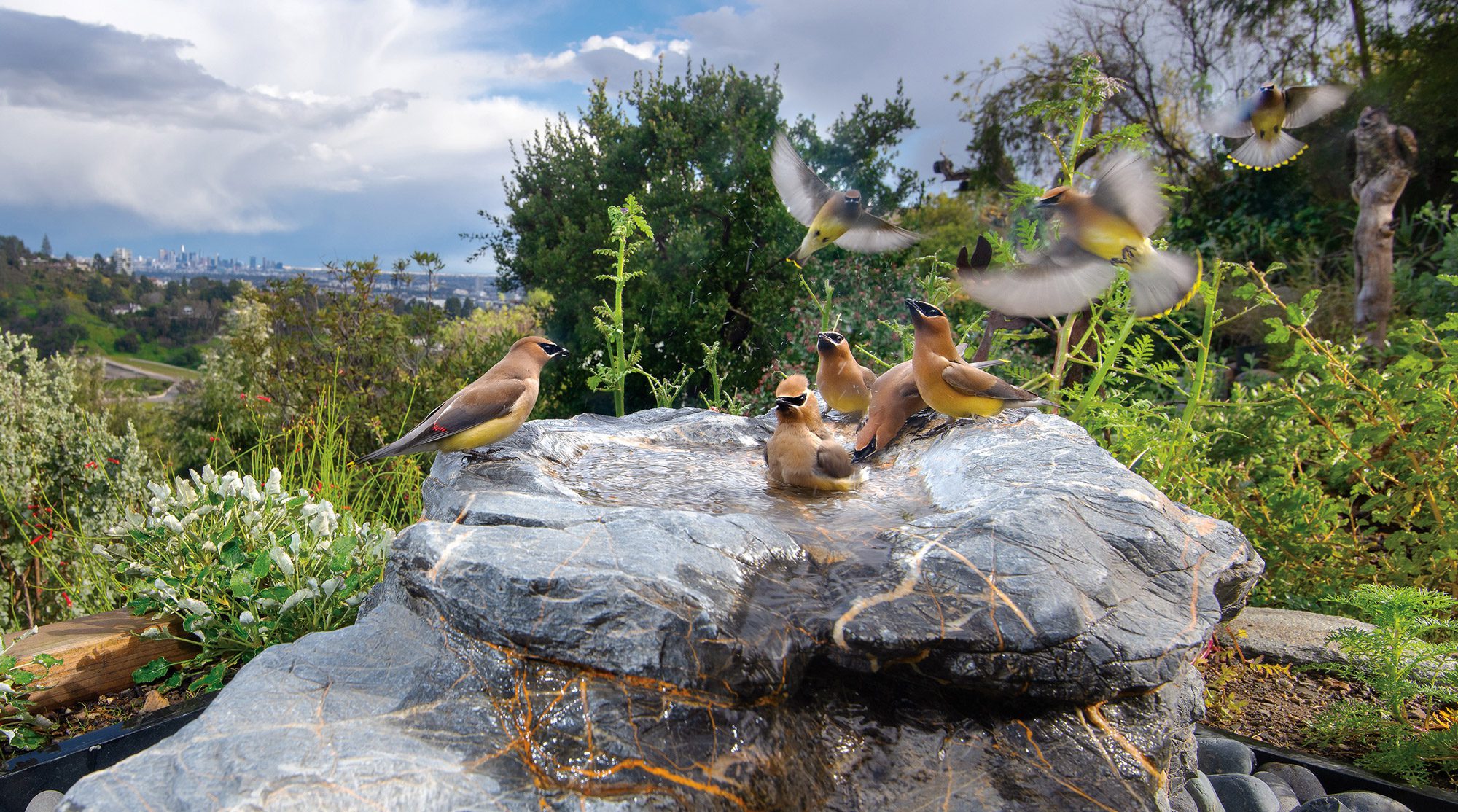 CEWA_GardenTempleBath_02